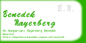 benedek mayerberg business card